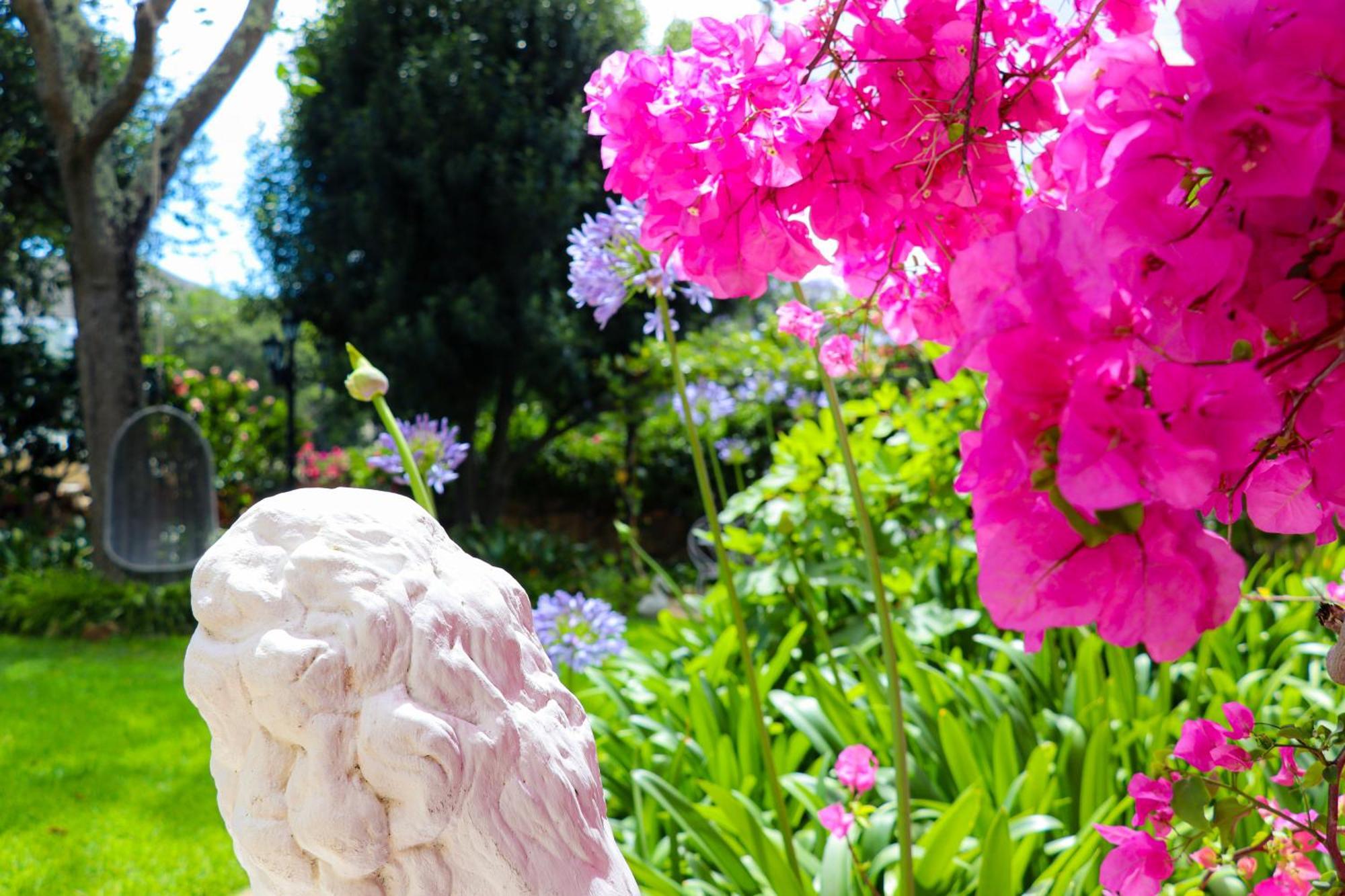 קייפטאון Carmichael House Boutique Hotel מראה חיצוני תמונה